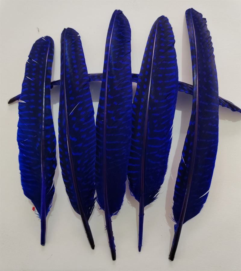 перья! 100 stks/partij! 14-20  - Art Quilling Craft recensie en prijs