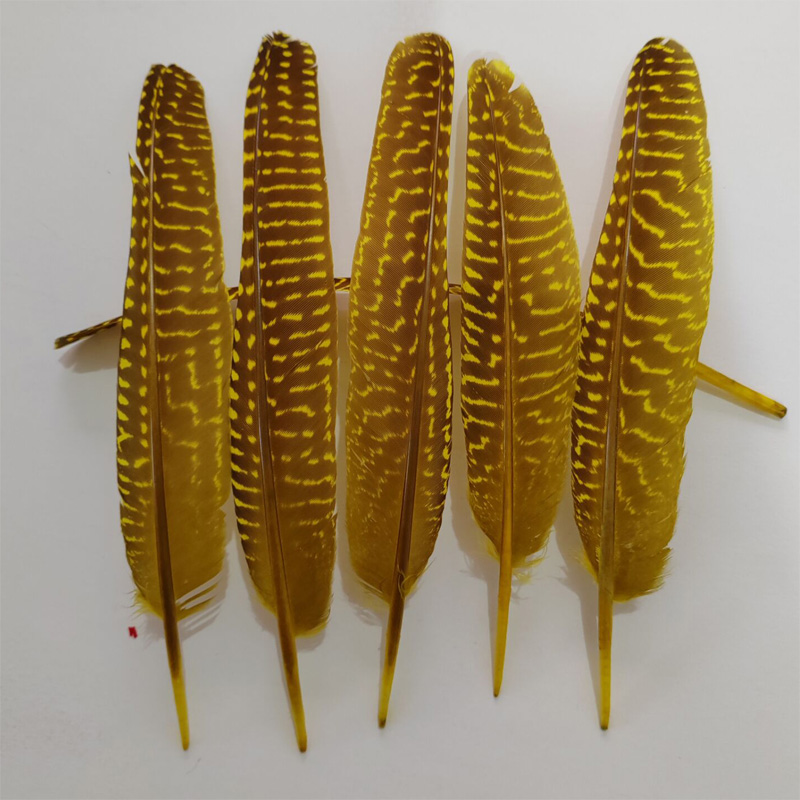 перья! 100 stks/partij! 14-20  - Art Quilling Craft recensie en prijs